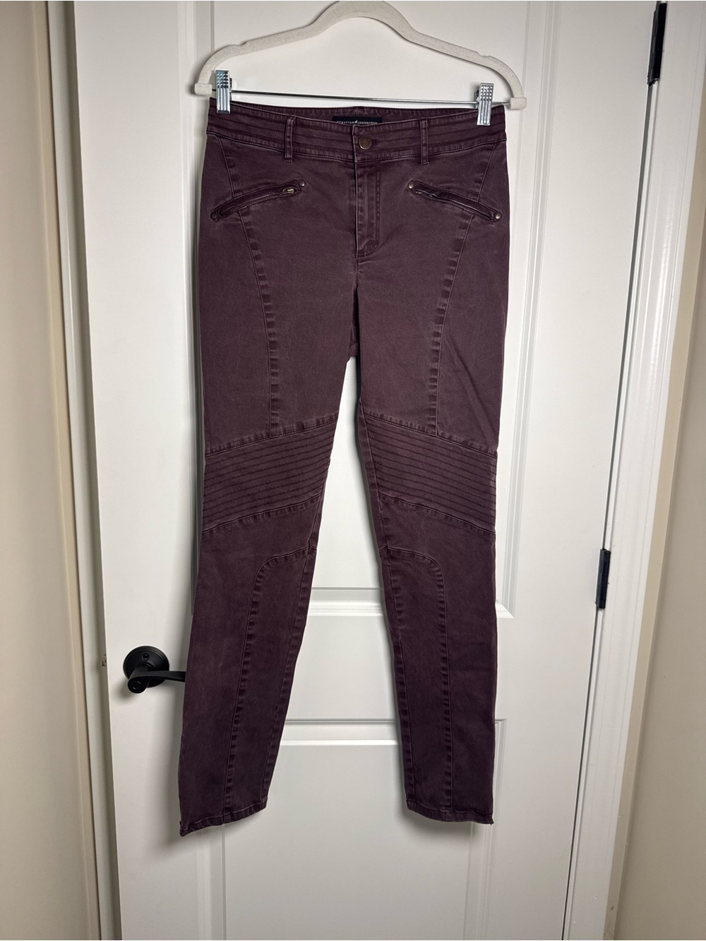 Peruvian Connection Slim Moto Pants in Deep Plum